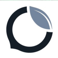 Chestnut Carbon logo