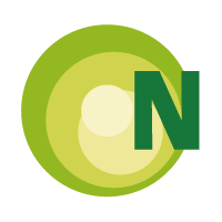 Nvalue AG logo